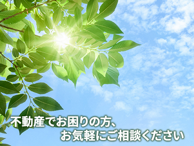 株式会社アリー24