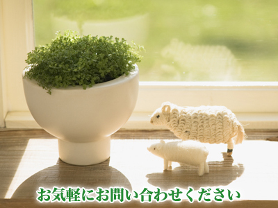 アヴァンス 株式会社